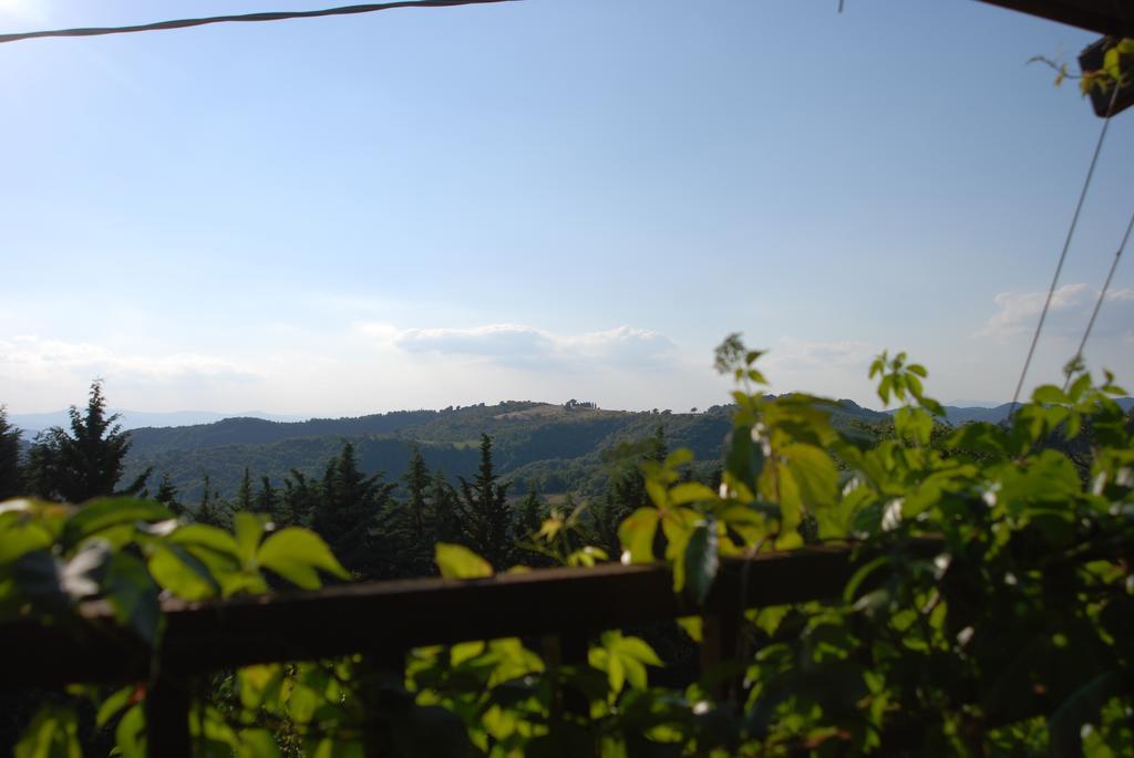 Il Tamantino Villa Gubbio Ruang foto